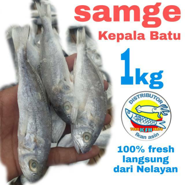 

ikan asin samgge kepala batu-1kg