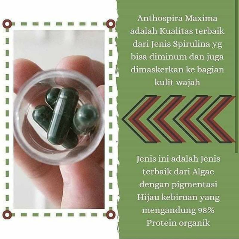 Spirulina Ori Tiens eceran 50 kapsul free kuas+bandana masker