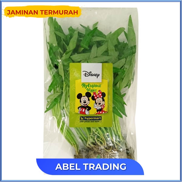 

Disney Kangkung Hydroponik Pack