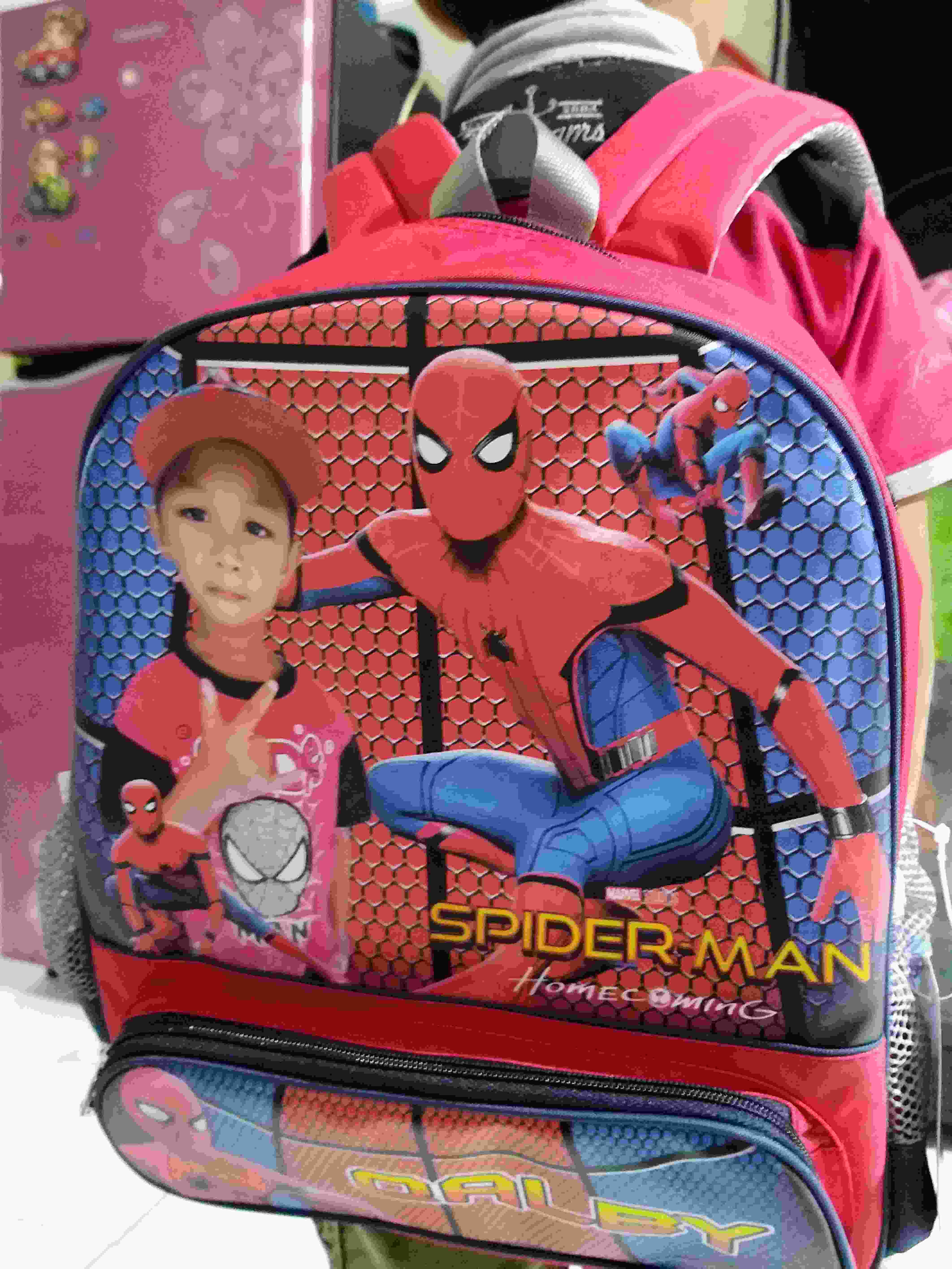 Tas Bekal Anak Laki Laki Karakter Spiderman Lunch Bag Alumuniumfoil Tas Foto Anakku Bc 01 Dayony