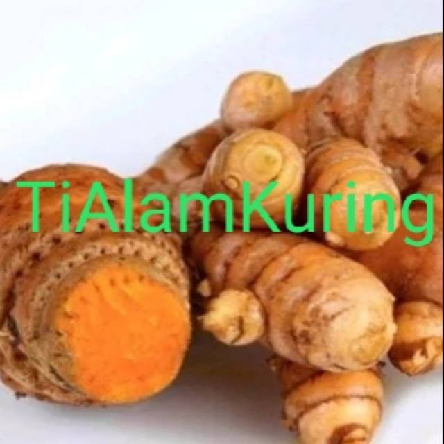 

Temulawak segar fresh 100gr