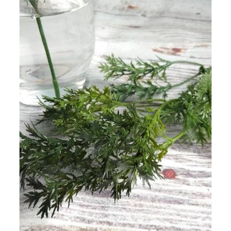 

『Terlaris』 parsley artificial 3.3 sale/SHOPEE MALL/【SHOPEE MALL】/Original/(TERBARU)