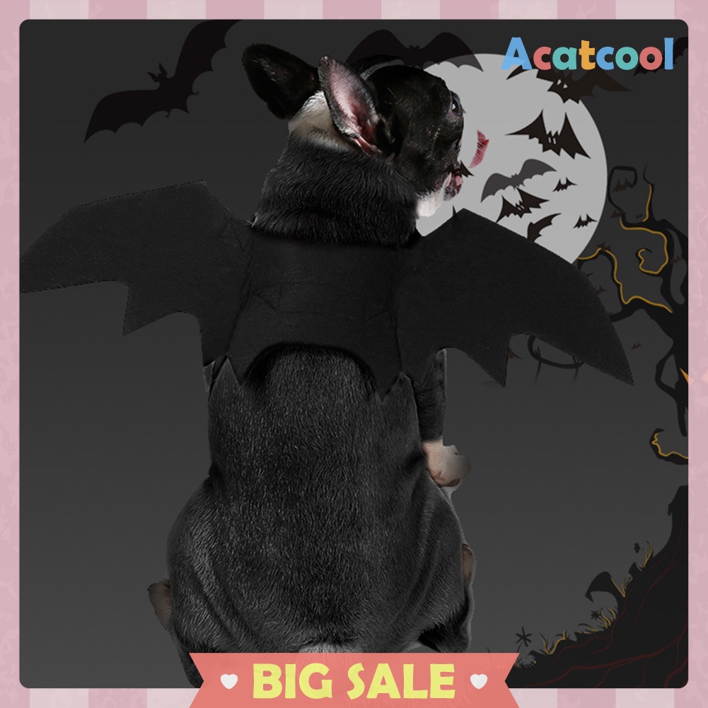 Pet Bat Wing Cosplay Prop Halloween Black Bat Fancy Dress up Costume Outfit