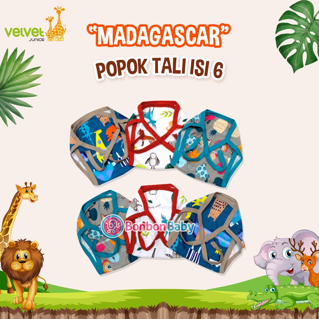 Velvet junior popok bayi fullprint, Isi 6pcs