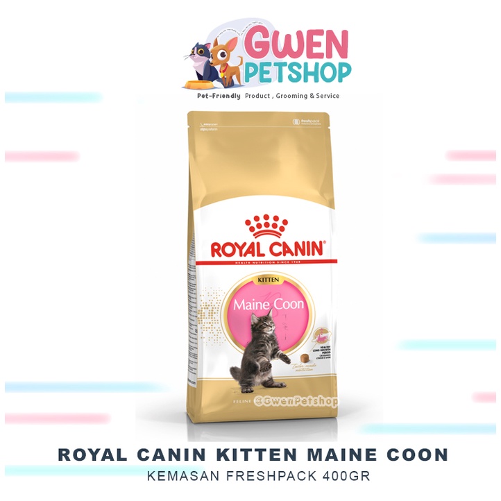 ROYAL CANIN KITTEN MAINECOON 400GR - Kitten maine coon