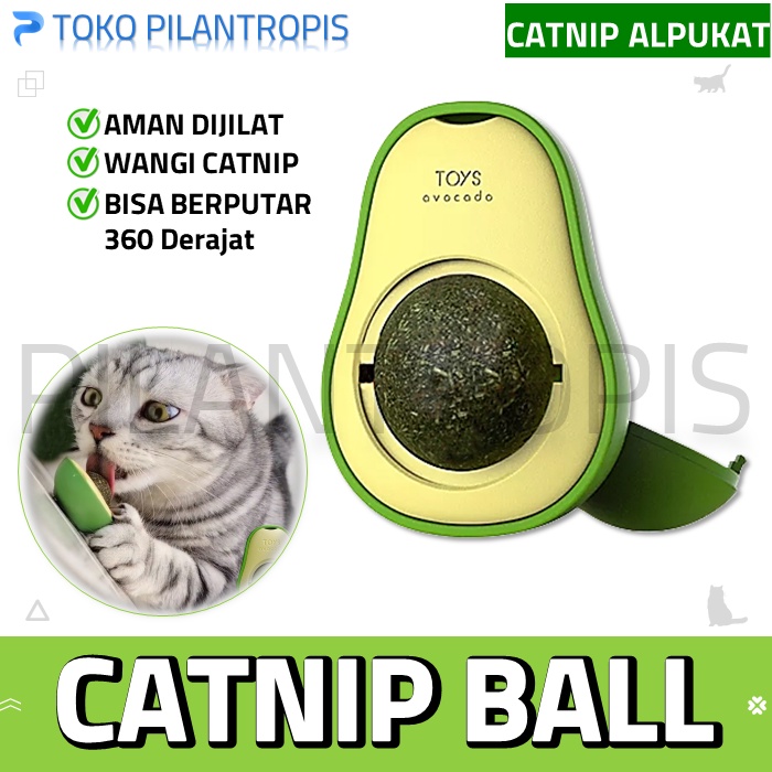 CATNIP BALL KUCING MAENAN MAINAN UNTUK KUCING CATNIP AVOCADO ALPUKAT AMAN TERJILAT