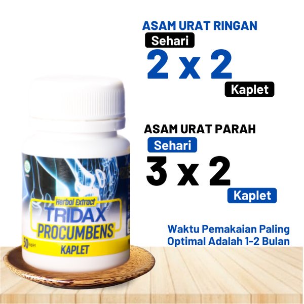 TRIDAX PROCUMBENS Original Obat Herbal Saraf Kejepit Asam Urat Pegal Linu Nyeri Sendi Encok Rematik Ampuh