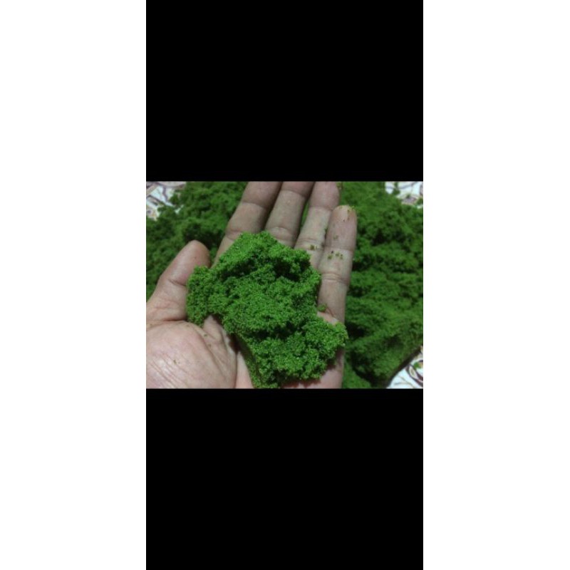 Wolfia/tanaman air/pakan hewan/azolla 200gram
