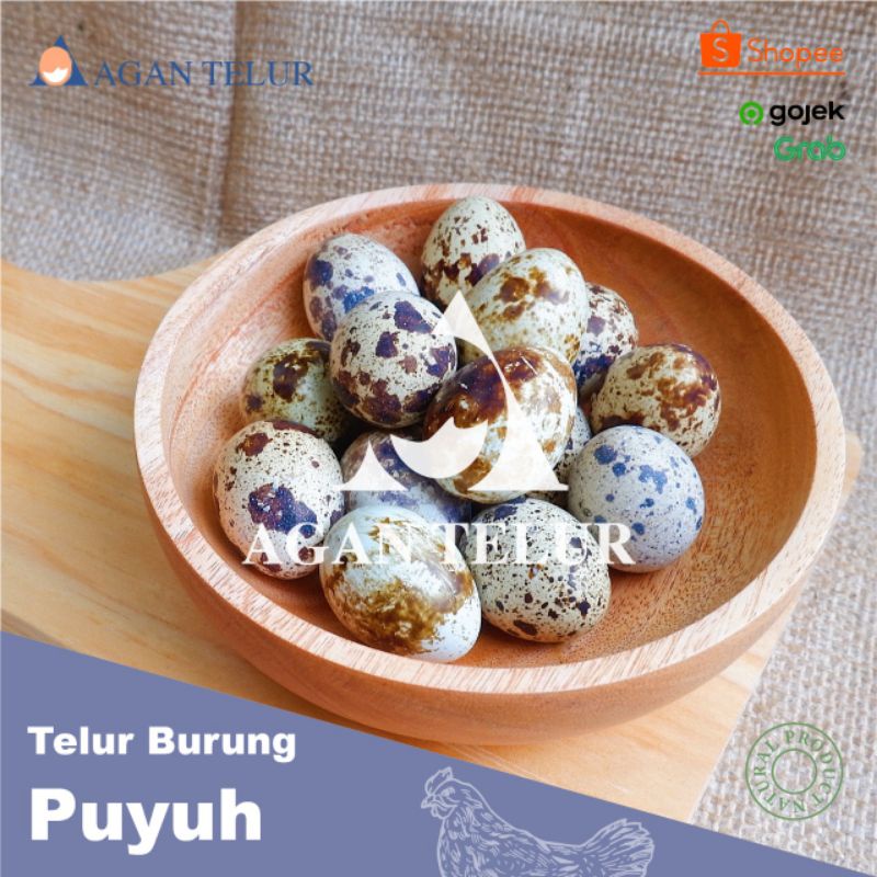 

Telur Puyuh per kg