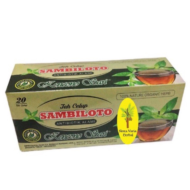 

teh celup sambiloto kencono sari,teh sambiloto,sambiloto,daun sambiloto,teh sambiloto kenconosari