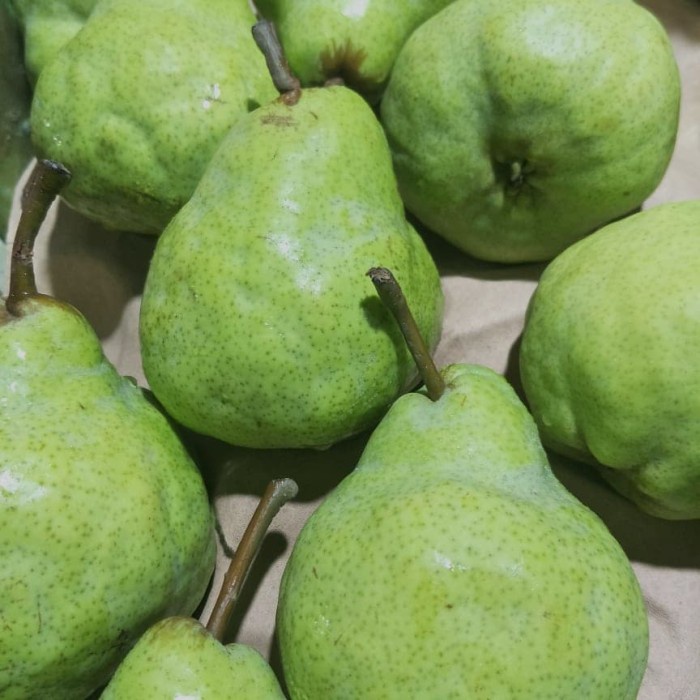 

pear pakam/ pear jambu