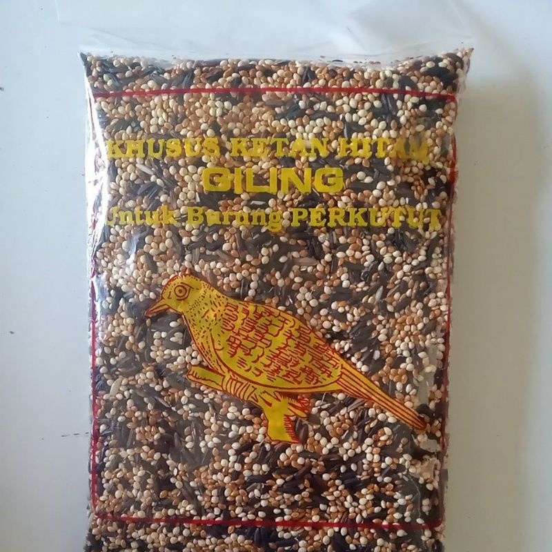 PAKAN PERKUTUT KETAN HITAM GILING