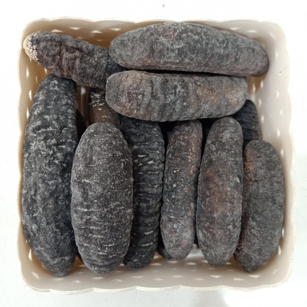 

500GR (12-15 EKOR) TERIPANG / HAISOM BAKAU / BELITUNG / TUKSOM KERING