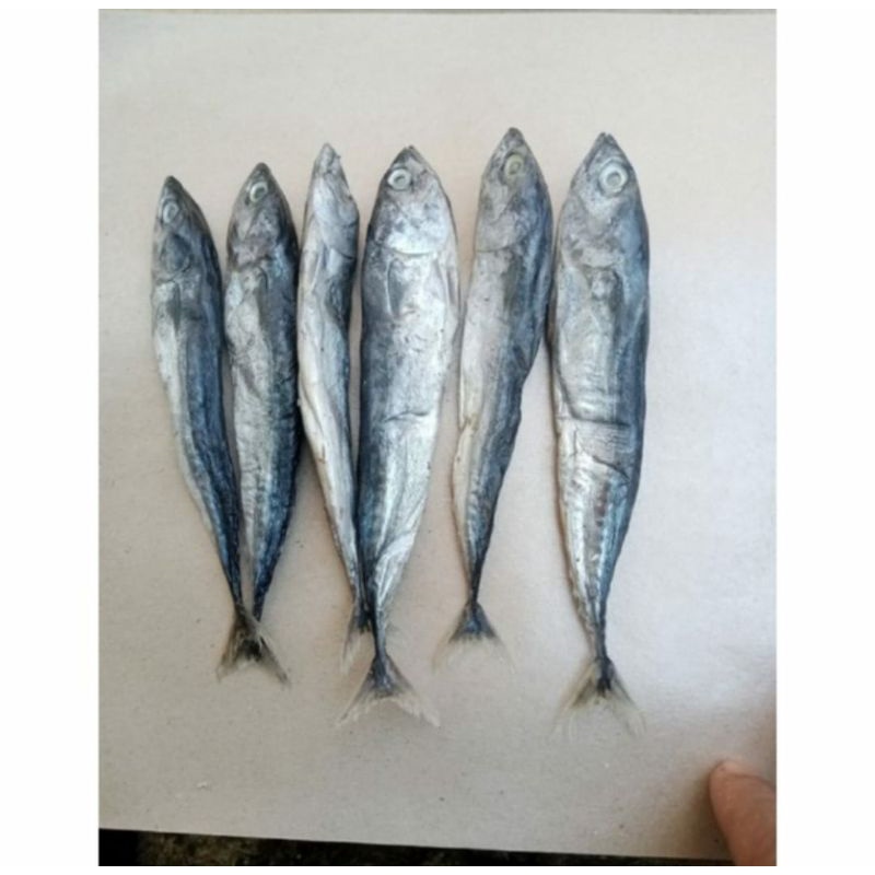 

Ikan Asin Tongkol utuh 250gr