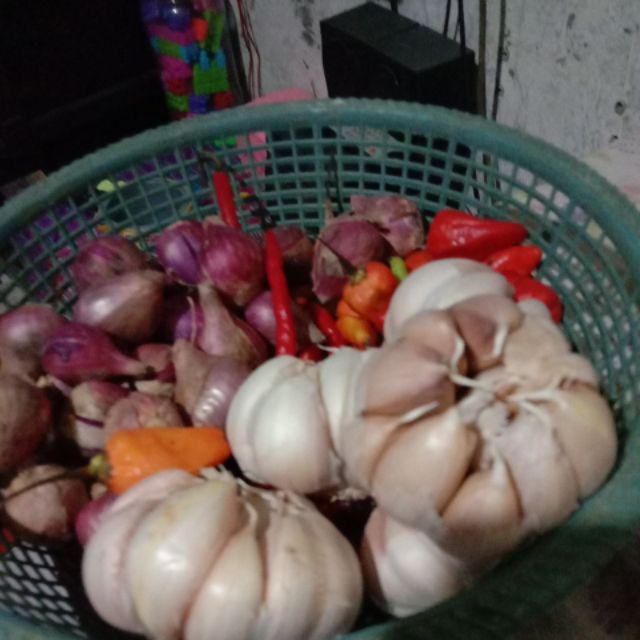 Kentang Kecil 1kg