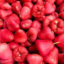 

Jambu Air Segar Per kg