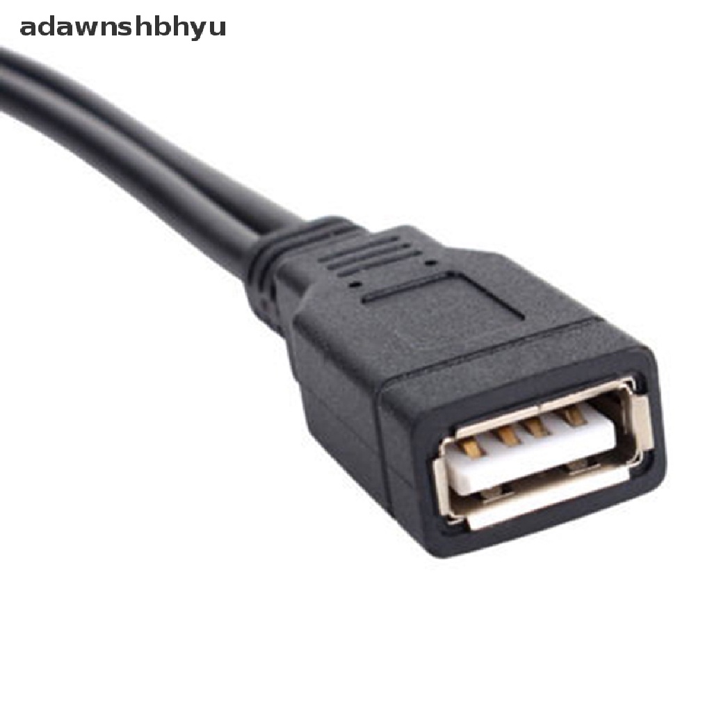 Adawnshbhyu Baru USB 2.0 1 Female To 2 Male Y-Splitter Data Sync Charging Extension Cable