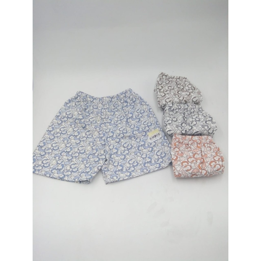 Nary Celana Pendek Porcupine