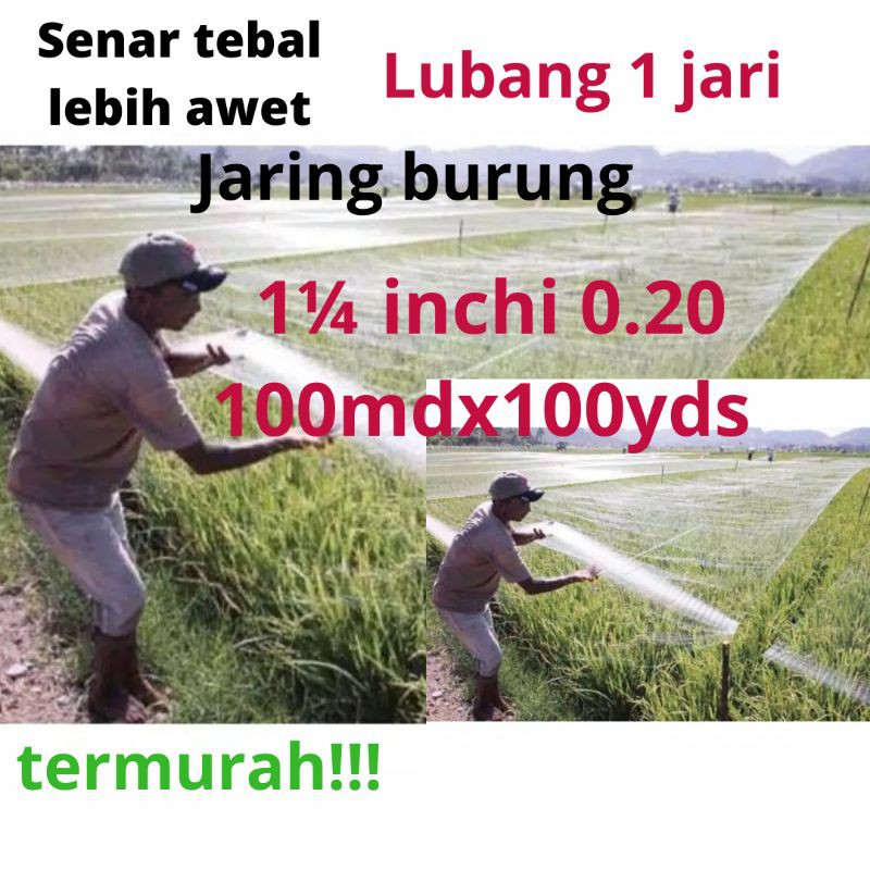 Jaring burung sawah  lubang 1 jari jaring burung emprit jaring burung pipit jaring padi jaring burug