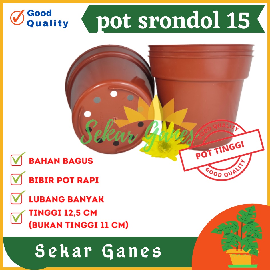 Pot Tinggi Srondol 15 Merah BataTerracota Terracotta Merah Coklat- Pot Tinggi Usa Eiffel Effiel 18 20 25 Lusinan Pot Tinggi Tirus 15 18 20 30 35 40 50 Cm Paket murah isi 1 lusin pot bunga plastik lusinan pot tanaman Pot Bibit Besar Mini Kecil Pot Srondol