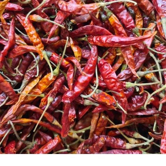 

✅HAPPY SHOPPING❤ Cabe Rawit Teja Kering Pedas 500gr produck terlaris