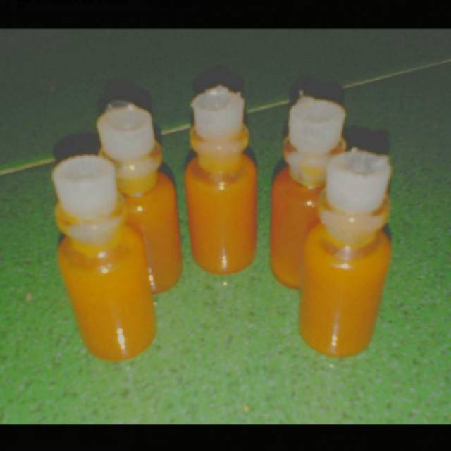 Minyak Bulus asli (bulus)