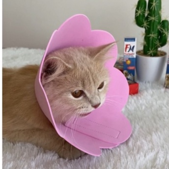 Pet Collar Busa Kerah Corong Pelindung Leher Kucing Anjing