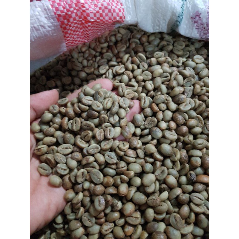 

greenbeans robusta blitar