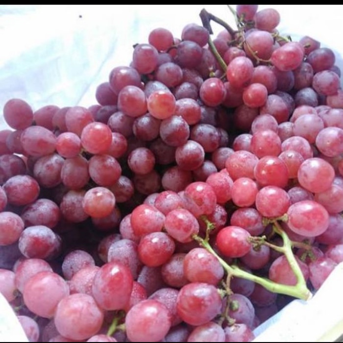 

anggur merah import super /anggur 500gram