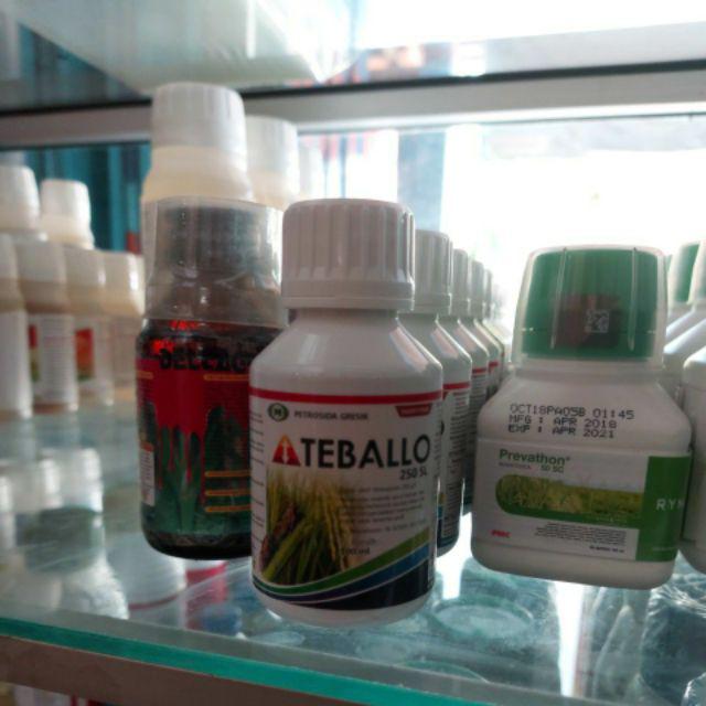 Pembasmi Hama Wereng Insektisida Teballo 250 Sl Kemasan 100 Ml