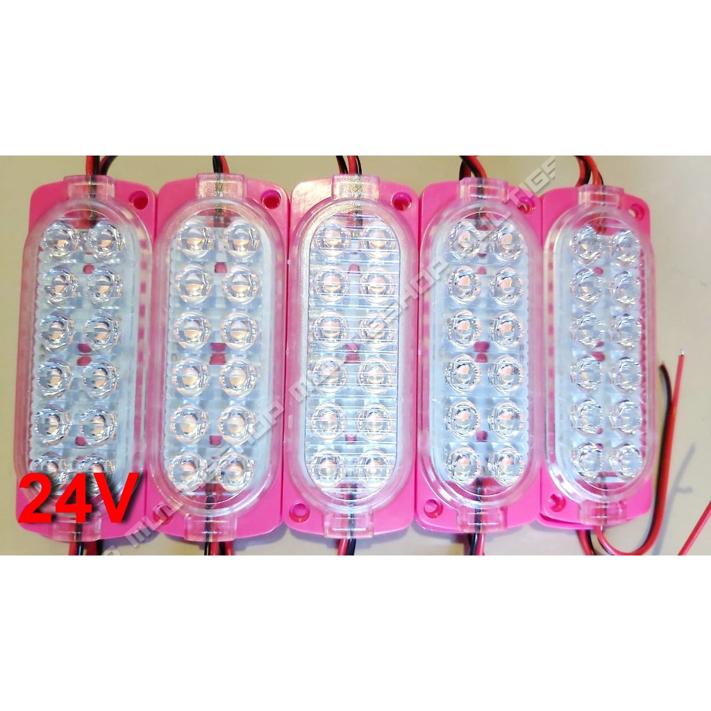 100Pcs Modul 2835 12 LED 10438 Ultrasonic 24V Kedip Strobo -  Pink Icy Blue