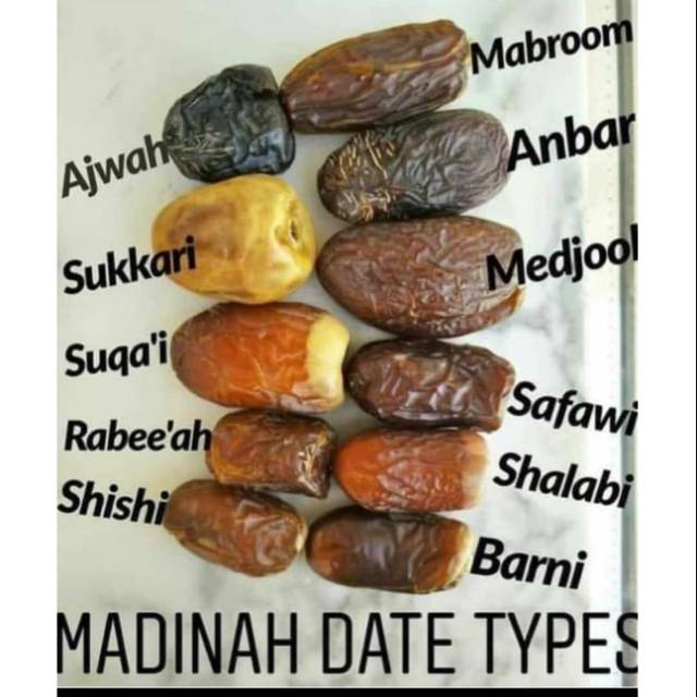 

Kurma Madinah
