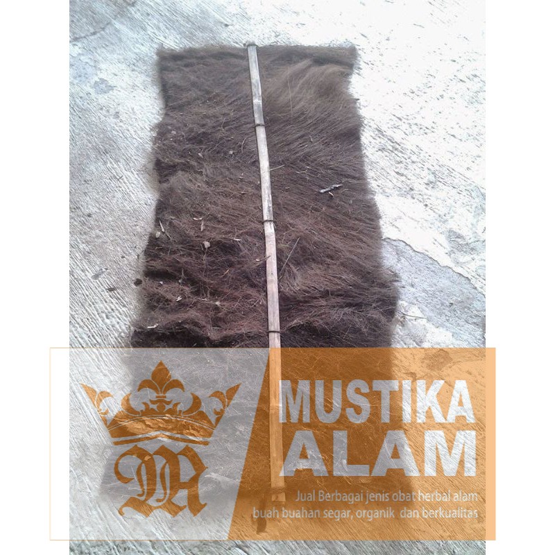 IJUK KAKABAN IKAN MURAH