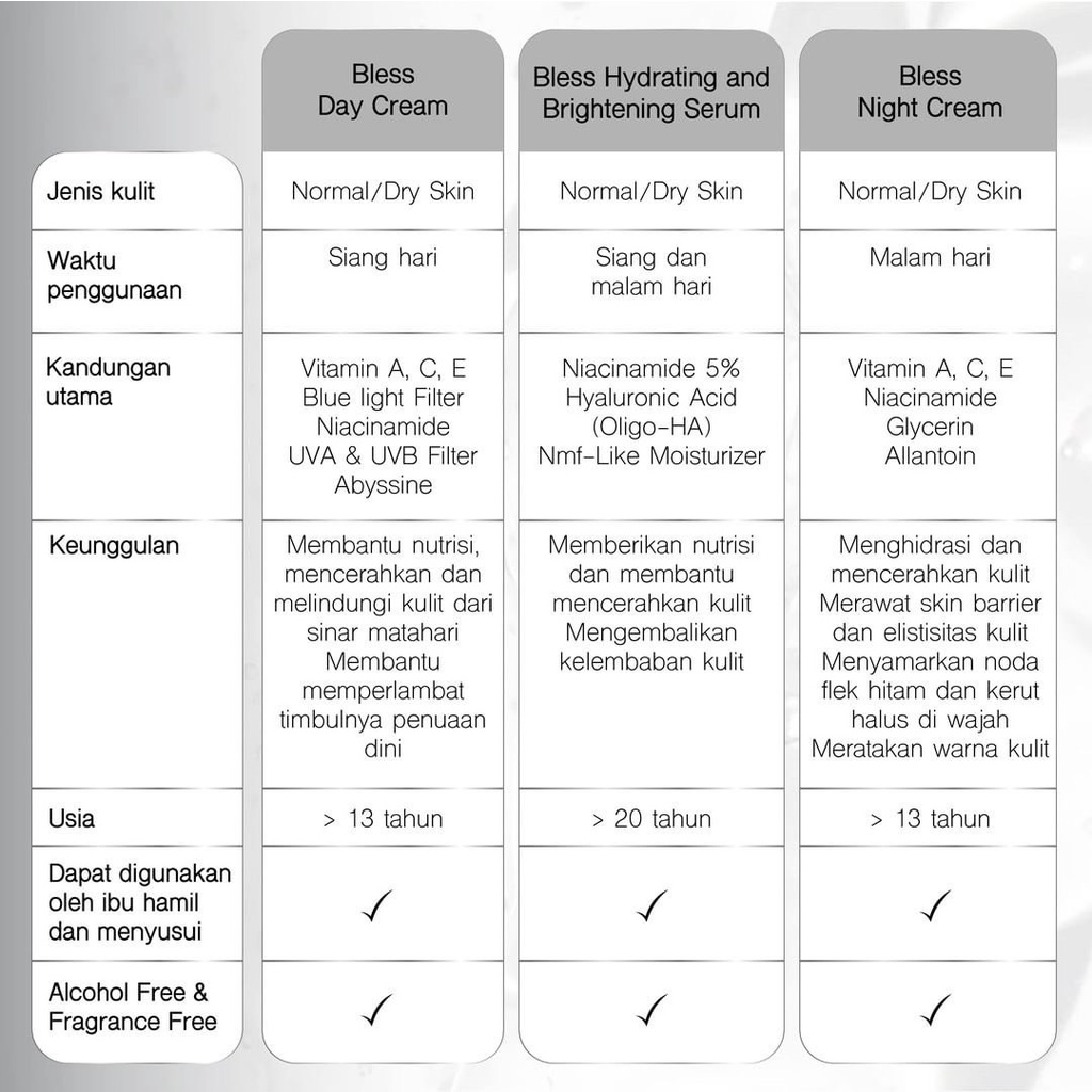 BLESS Day Cream 18gr | Pelembab - Kulit Normal | Kering