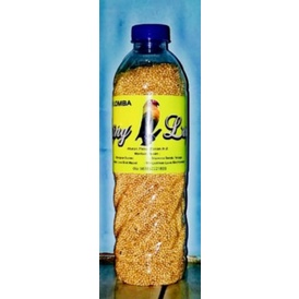 pakan Linglung_pakan Lovebird lomba