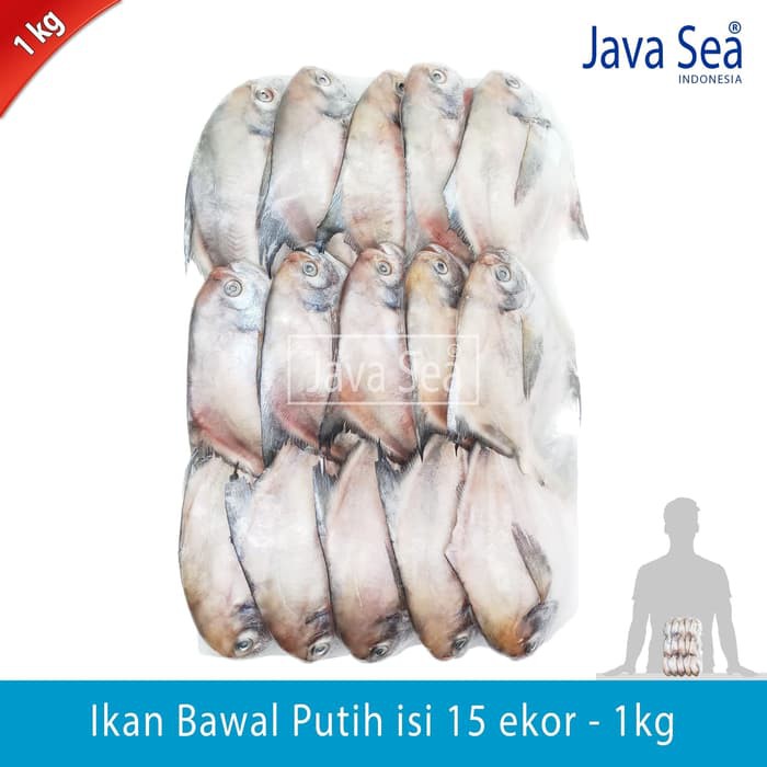 

JAVA SEA Ikan Bawal Putih Beku Utuh isi 15 ekor per pack 1kg