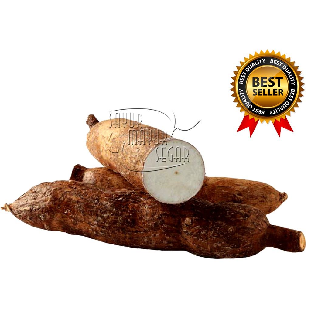 

KIRIM INSTAN SINGKONG SEGAR / SINGKONG FRESH