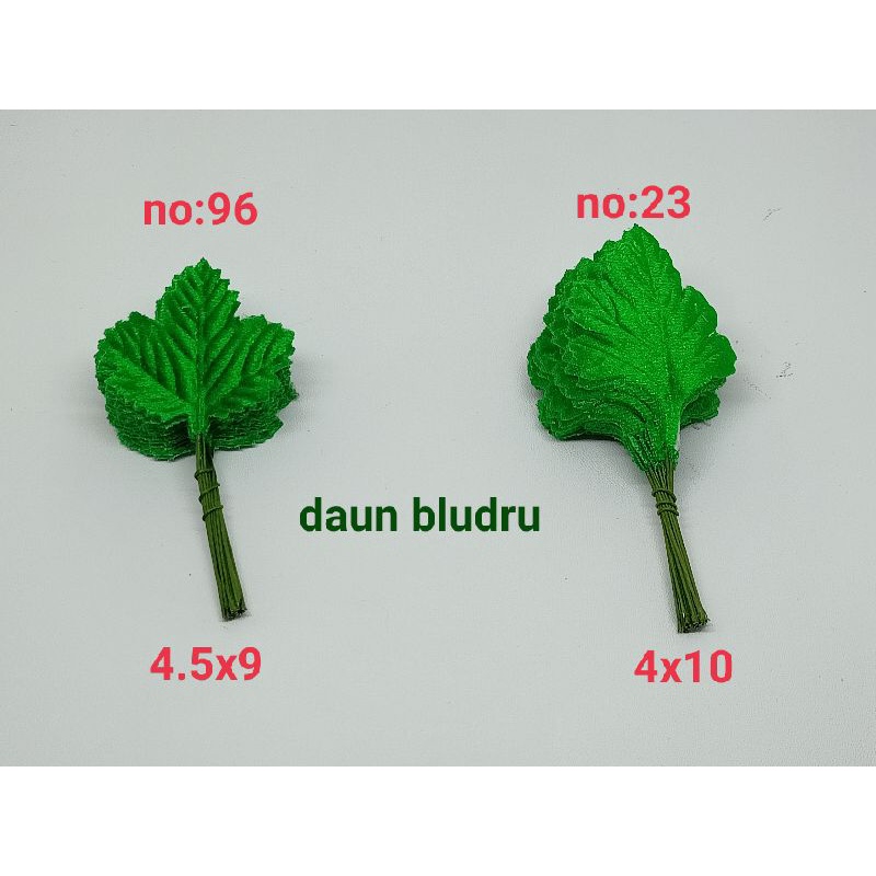 Daun Bludru ( isi:1 ikat )