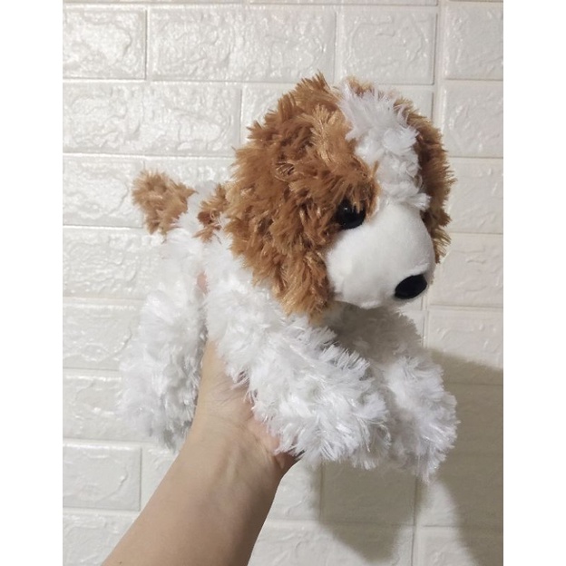 Boneka Anjing Poodle Lying