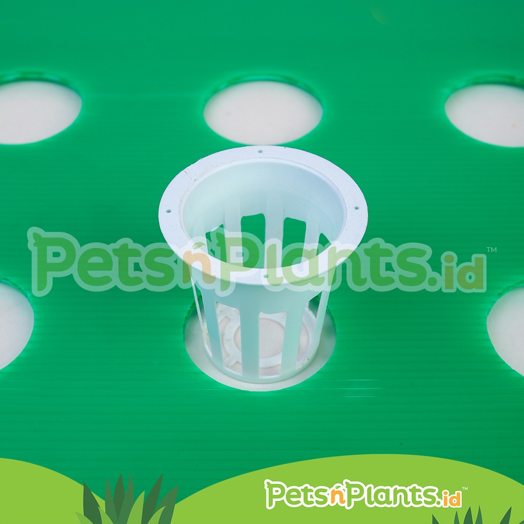 Netpot Net Pot Putih 5 cm Hidroponik Wick DFT