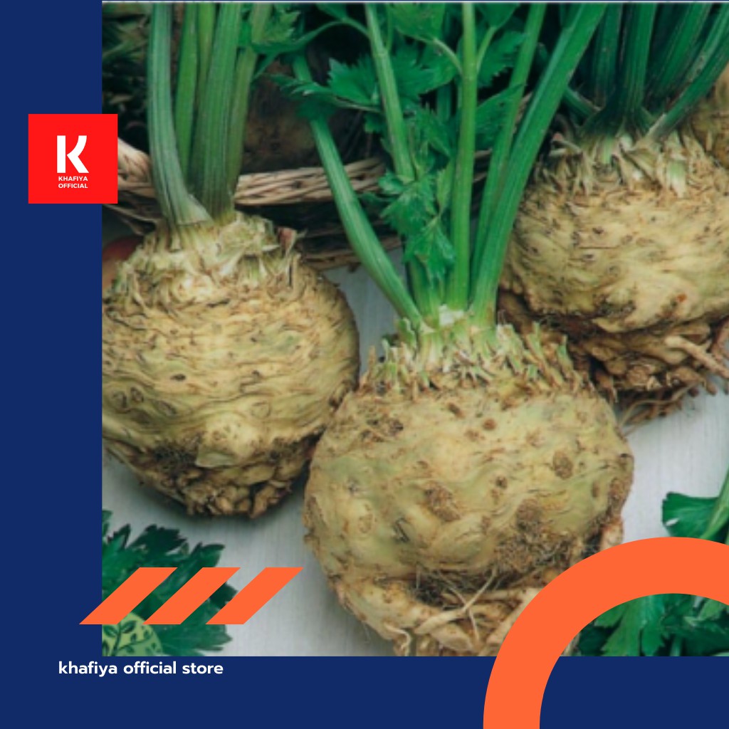 BIBIT SAYURAN IMPORT - Celeriac Monarch / Seledri Umbi Seeds