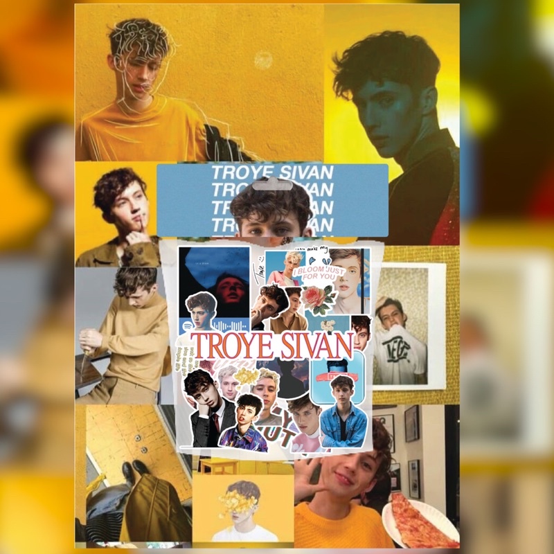 

[27 PCS STICKERS] Stickers Troye Sivan untuk laptop, hp, dll sudah dicutting