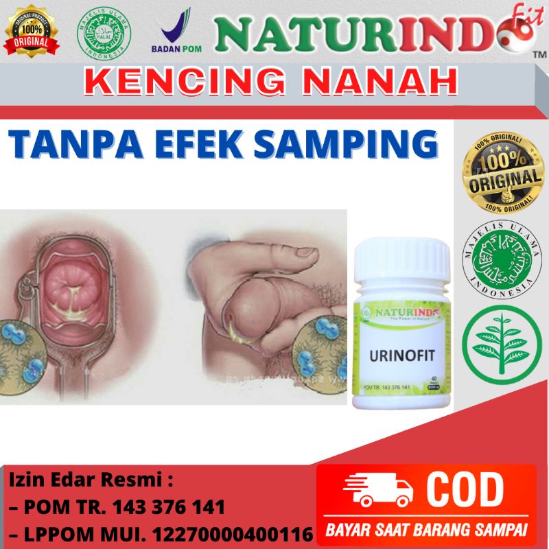 Obat Herbal Sipilis Ampuh Kencing Nanah Gonore Raja Singa Infeksi Saluran Kencing