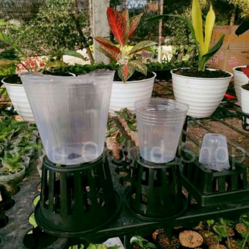 Pot flexibel anggrek /fleksibel plastik bening transparan softpot