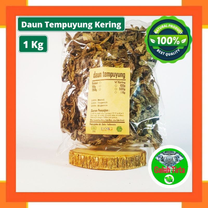 

DAUN TEMPUYUNG KERING 1000 GRAM / 1 KG - Sonchus Arvensis - MURN