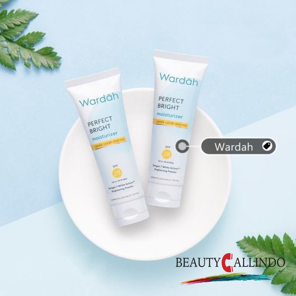 WARDAH PERFECT BRIGHT MOISTURIZER 20ml | Shopee Indonesia
