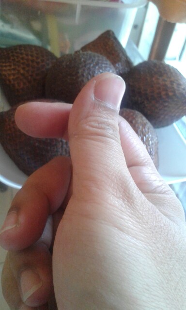 Klem Selang 3/4 Inch