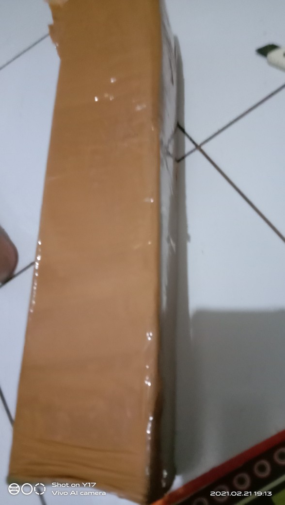 Tanaman Hias Begonia Tanaman Bunga Begonia