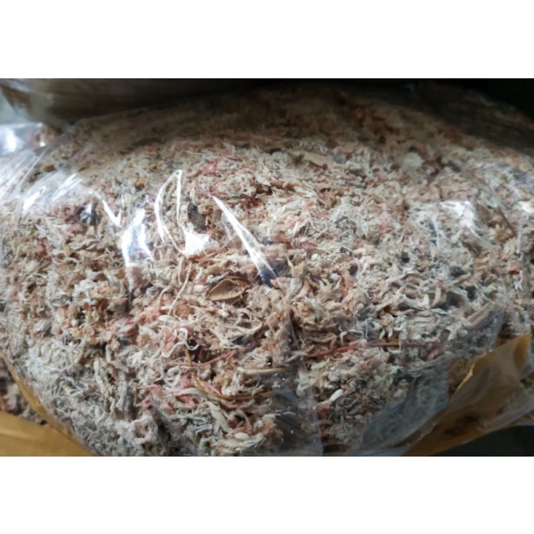 Dijual Sphagnum Moss Chille 200 Gram  Sphagnum moss Chile 200 gram Diskon