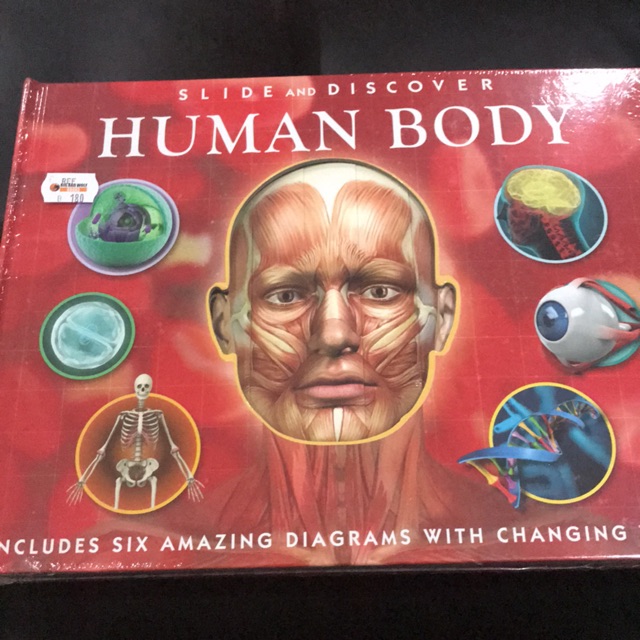 Slide and discover human body